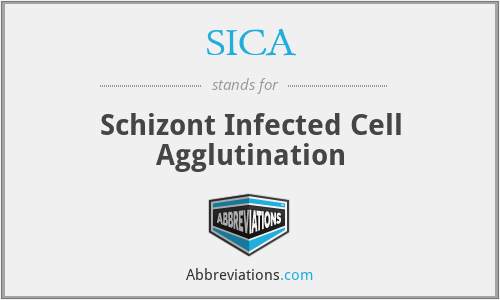 SICA - Schizont Infected Cell Agglutination