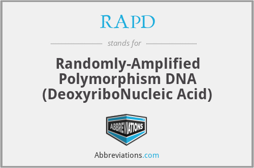 RAPD - Randomly-Amplified Polymorphism DNA (DeoxyriboNucleic Acid)