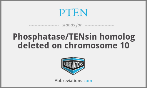 PTEN - Phosphatase/TENsin homolog deleted on chromosome 10