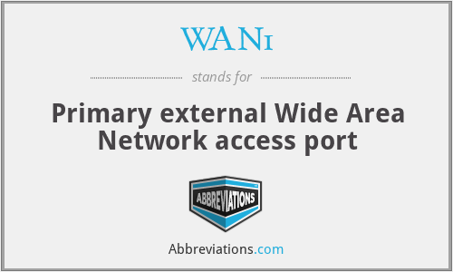 WAN1 - Primary external Wide Area Network access port