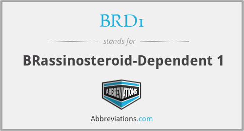 BRD1 - BRassinosteroid-Dependent 1
