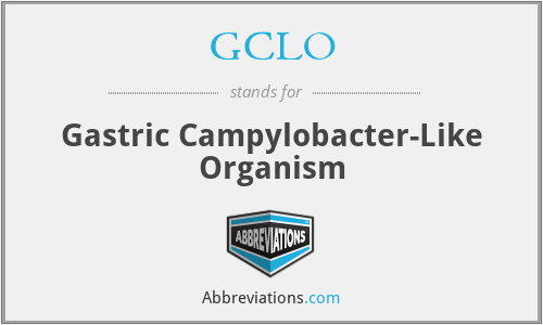 GCLO - Gastric Campylobacter-Like Organism