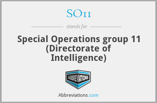 SO11 - Special Operations group 11 (Directorate of Intelligence)