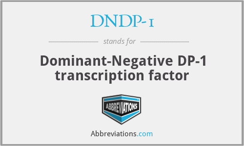 DNDP-1 - Dominant-Negative DP-1 transcription factor