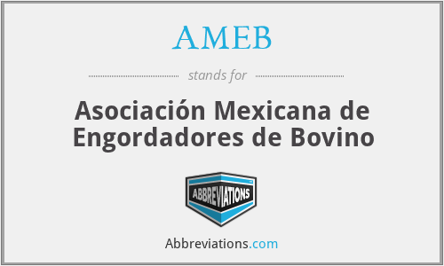 AMEB - Asociación Mexicana de Engordadores de Bovino