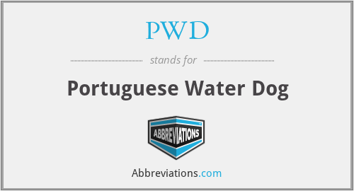 PWD - Portuguese Water Dog