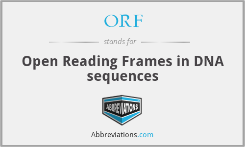ORF - Open Reading Frames in DNA sequences
