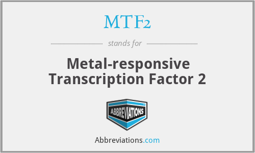 MTF2 - Metal-responsive Transcription Factor 2