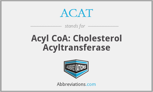 ACAT - Acyl CoA: Cholesterol Acyltransferase