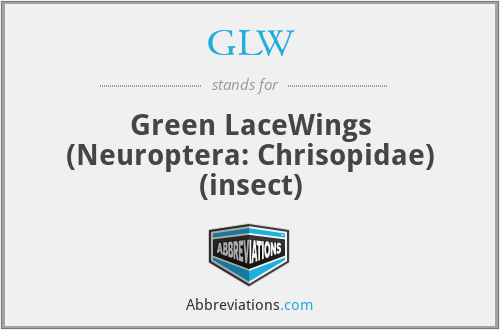 GLW - Green LaceWings (Neuroptera: Chrisopidae) (insect)