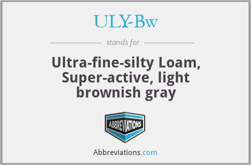 ULY-Bw - Ultra-fine-silty Loam, Super-active, light brownish gray