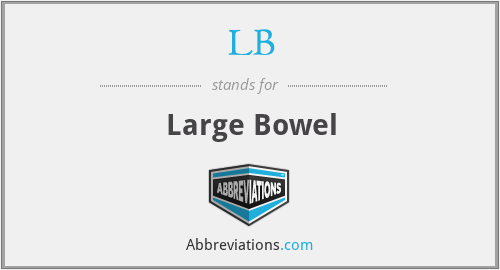 LB - Large Bowel