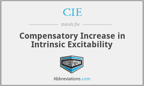CIE - Compensatory Increase in Intrinsic Excitability
