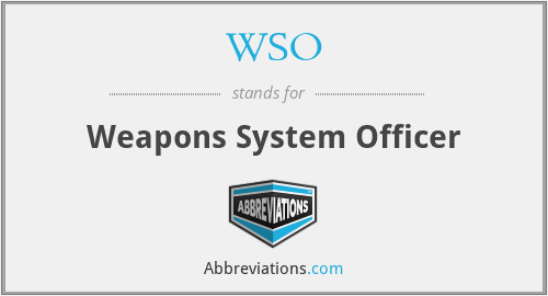 WSO - Weapons System Officer
