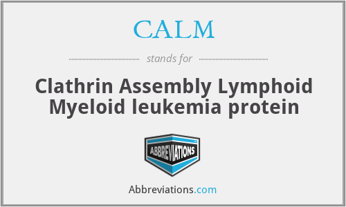 CALM - Clathrin Assembly Lymphoid Myeloid leukemia protein