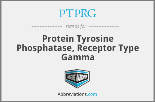 PTPRG - Protein Tyrosine Phosphatase, Receptor Type Gamma