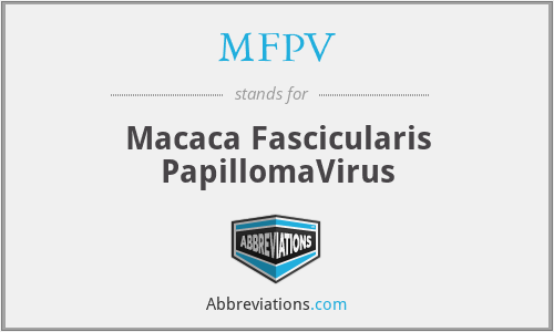 MFPV - Macaca Fascicularis PapillomaVirus