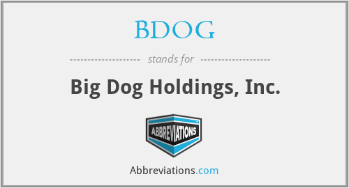 BDOG - Big Dog Holdings, Inc.