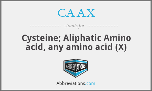 CAAX - Cysteine; Aliphatic Amino acid, any amino acid (X)