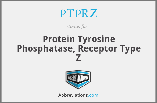 PTPRZ - Protein Tyrosine Phosphatase, Receptor Type Z
