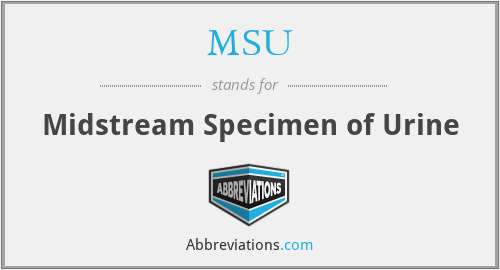 MSU - Midstream Specimen of Urine
