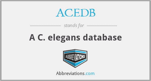 ACEDB - A C. elegans database