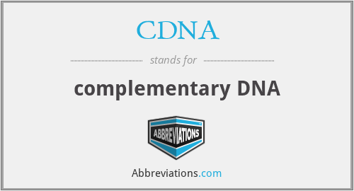 CDNA - complementary DNA