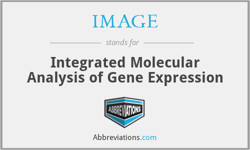 IMAGE - Integrated Molecular Analysis of Gene Expression