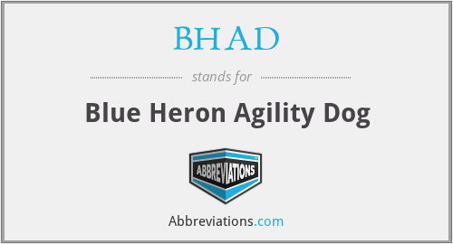 BHAD - Blue Heron Agility Dog