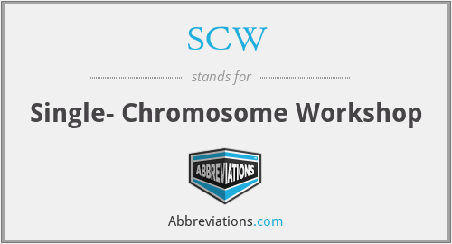 SCW - Single- Chromosome Workshop