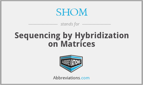 SHOM - Sequencing by Hybridization on Matrices