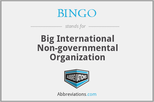 BINGO - Big International Non-governmental Organization