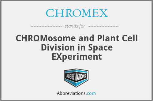 CHROMEX - CHROMosome and Plant Cell Division in Space EXperiment