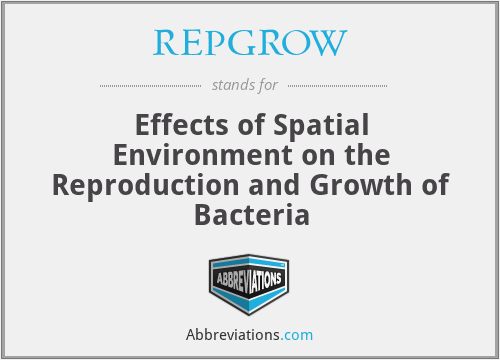 REPGROW - Effects of Spatial Environment on the Reproduction and Growth of Bacteria