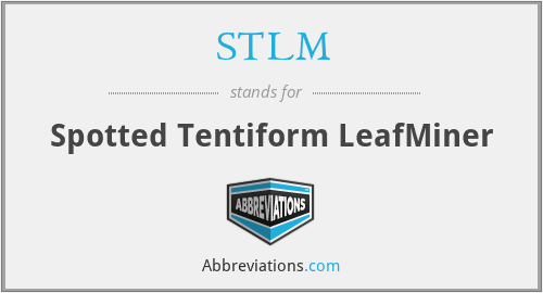 STLM - Spotted Tentiform LeafMiner