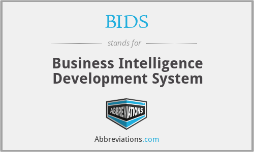 BIDS - Business Intelligence Development System