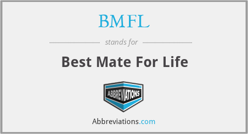 BMFL - Best Mate For Life
