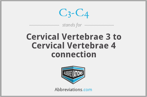 C3-C4 - Cervical Vertebrae 3 to Cervical Vertebrae 4 connection