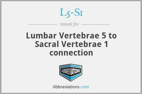 L5-S1 - Lumbar Vertebrae 5 to Sacral Vertebrae 1 connection