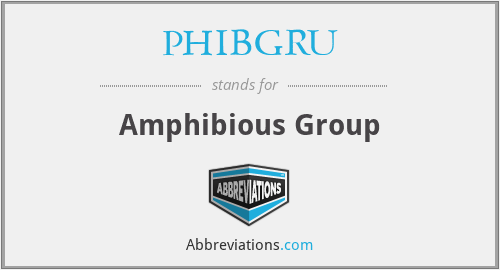 PHIBGRU - Amphibious Group