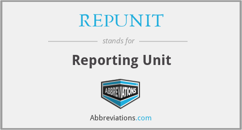 REPUNIT - Reporting Unit