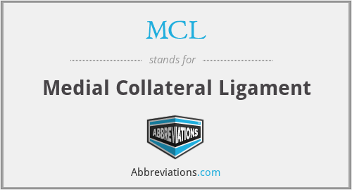 MCL - Medial Collateral Ligament