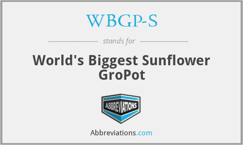 WBGP-S - World's Biggest Sunflower GroPot
