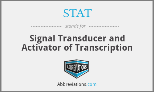 STAT - Signal Transducer and Activator of Transcription