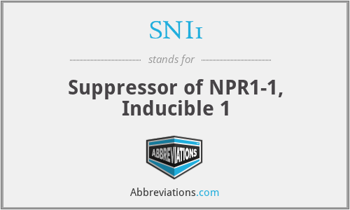 SNI1 - Suppressor of NPR1-1, Inducible 1