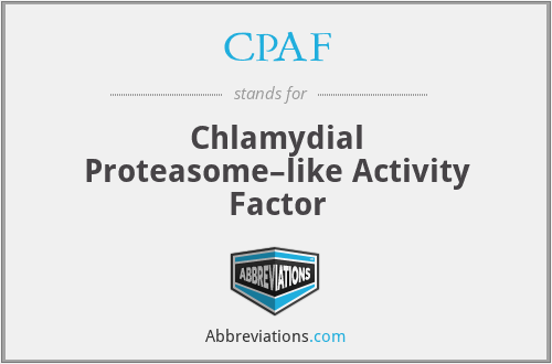 CPAF - Chlamydial Proteasome–like Activity Factor