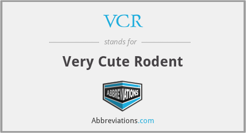 VCR - Very Cute Rodent