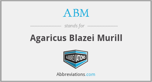 ABM - Agaricus Blazei Murill