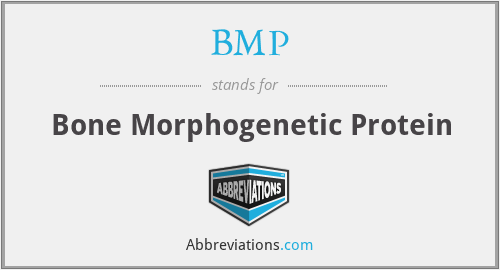 BMP - Bone Morphogenetic Protein