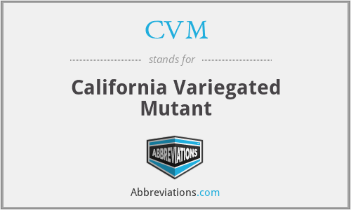 CVM - California Variegated Mutant